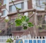 求购二手单人床